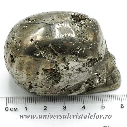 Craniu pirita m2 Craniu pirita m2