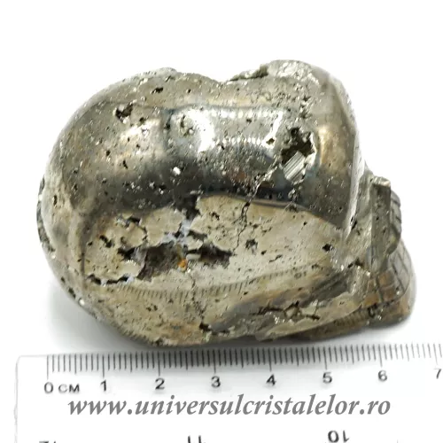 Craniu pirita m1 Craniu pirita m1