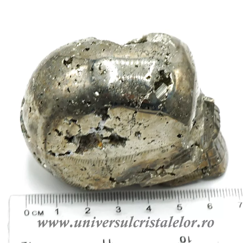 Craniu pirita m1 Craniu pirita m1