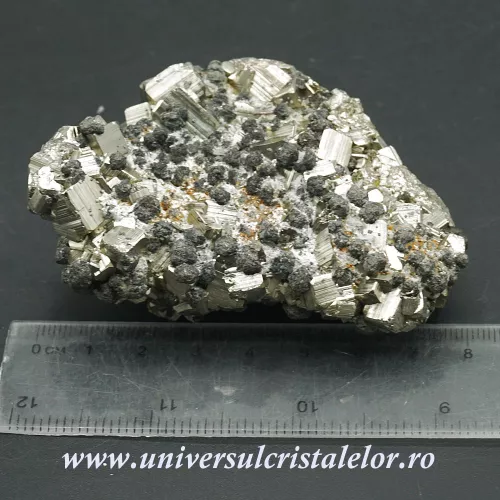 Pirita Pirita