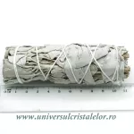 Salvie alba Salvie alba