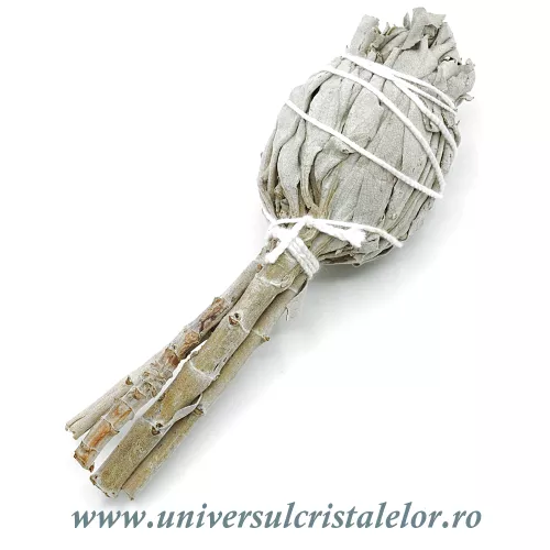 Salvie alba torta Salvie alba torta