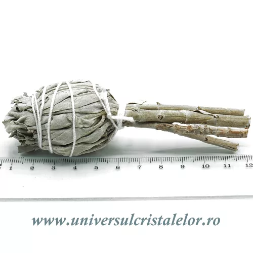 Salvie alba torta Salvie alba torta