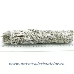 Salvie alba Salvie alba