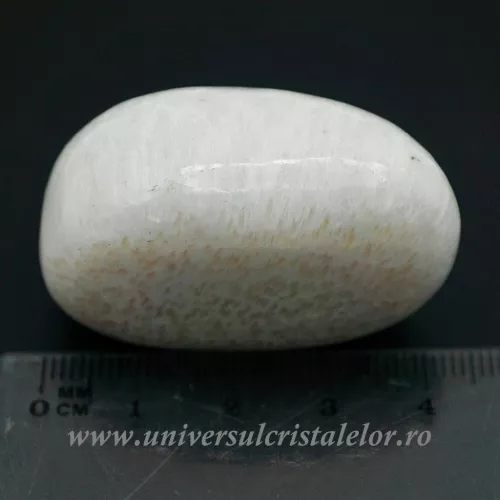 Scolecit piatra rulata unicat scol01