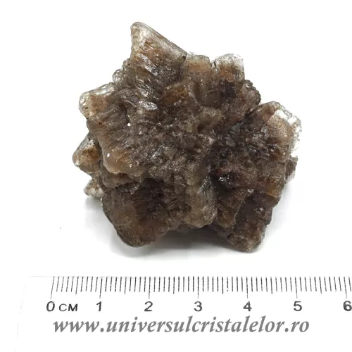 Selenit brut unicat m6