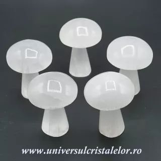 Selenit ciuperca alb 7 cm