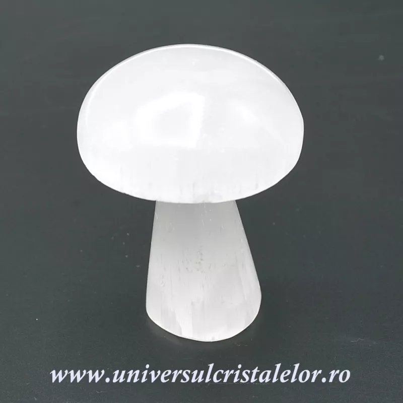 Selenit ciuperca alb 7 cm Selenit ciuperca alb 7 cm