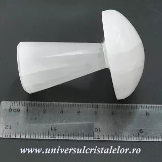 Selenit ciuperca alb 7 cm