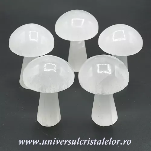 Selenit ciuperca alb 10 cm Selenit ciuperca alb 10 cm