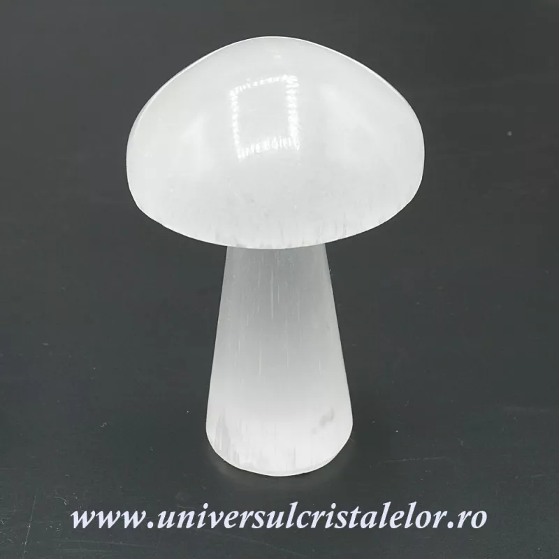 Selenit ciuperca alb 10 cm Selenit ciuperca alb 10 cm