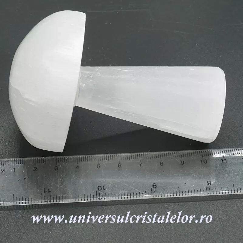 Selenit ciuperca alb 10 cm Selenit ciuperca alb 10 cm