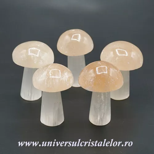 Selenit ciuperca 7 cm Selenit ciuperca 7 cm