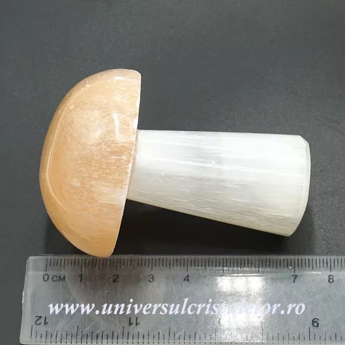 Selenit ciuperca 7 cm Selenit ciuperca 7 cm