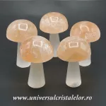 Selenit ciuperci Selenit ciuperci