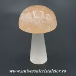Selenit ciuperci Selenit ciuperci