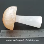 Selenit ciuperci Selenit ciuperci