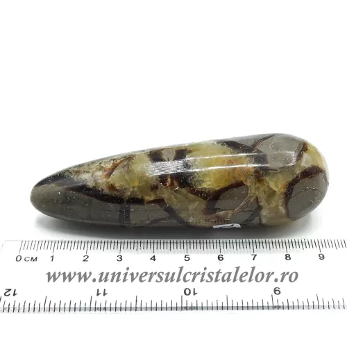 Bagheta septaria Bagheta septaria