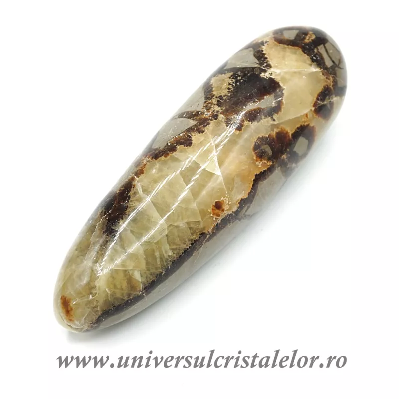 Bagheta septaria Bagheta septaria