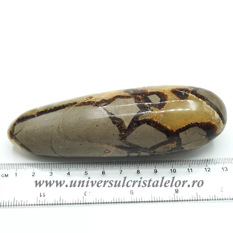 Bagheta septaria Bagheta septaria