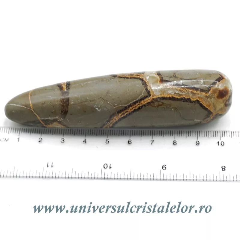 Bagheta septaria Bagheta septaria