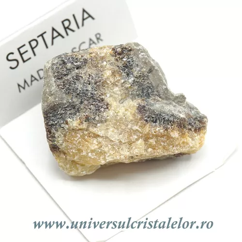 Septaria Septaria