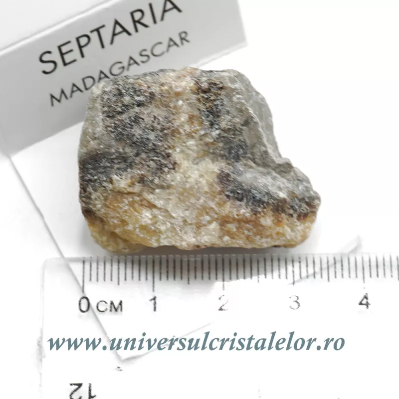Septaria Septaria