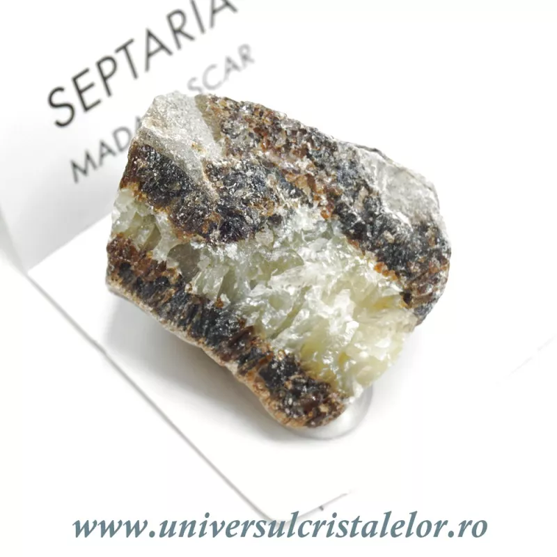 Septaria Septaria