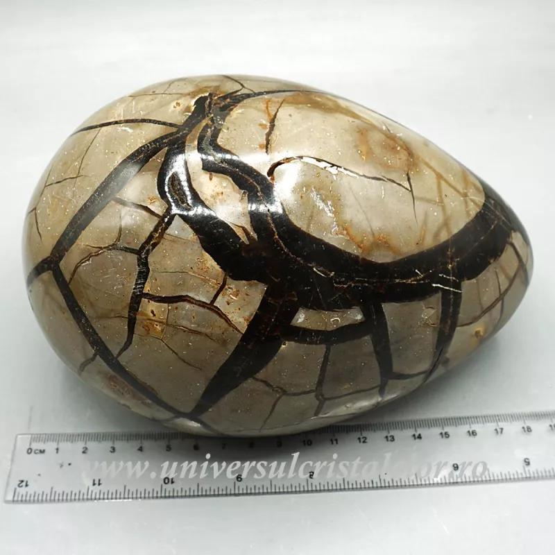 Ou septaria Ou septaria