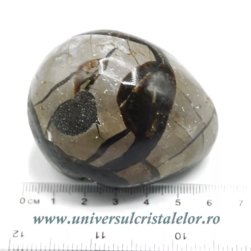 Ou septaria Ou septaria