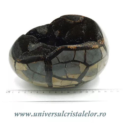 Ou septaria Ou septaria