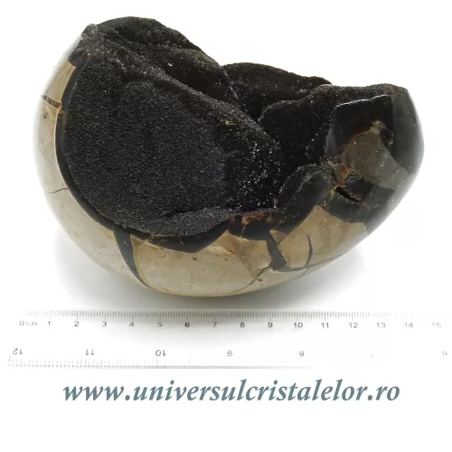 Ou septaria  Ou septaria