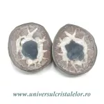 Septaria pereche Septaria pereche
