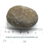 Septaria pereche Septaria pereche