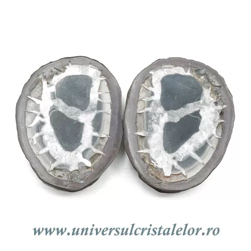 Septaria pereche Septaria pereche