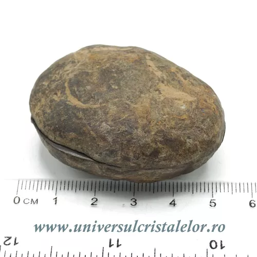 Septaria pereche Septaria pereche