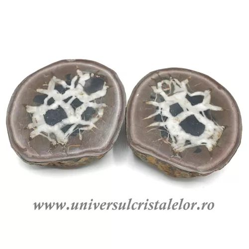 Septaria pereche Septaria pereche