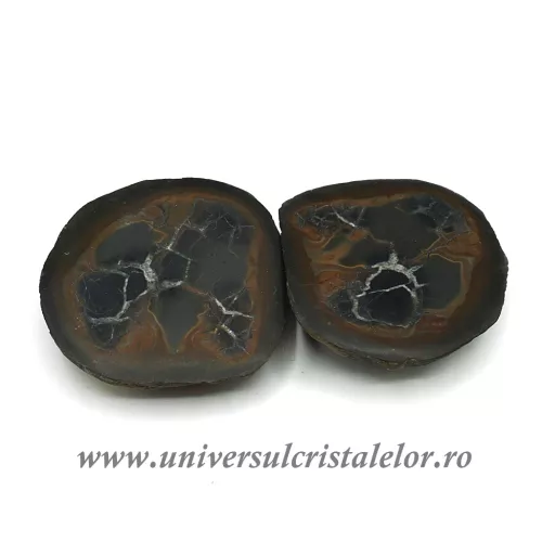 Septaria pereche Septaria pereche