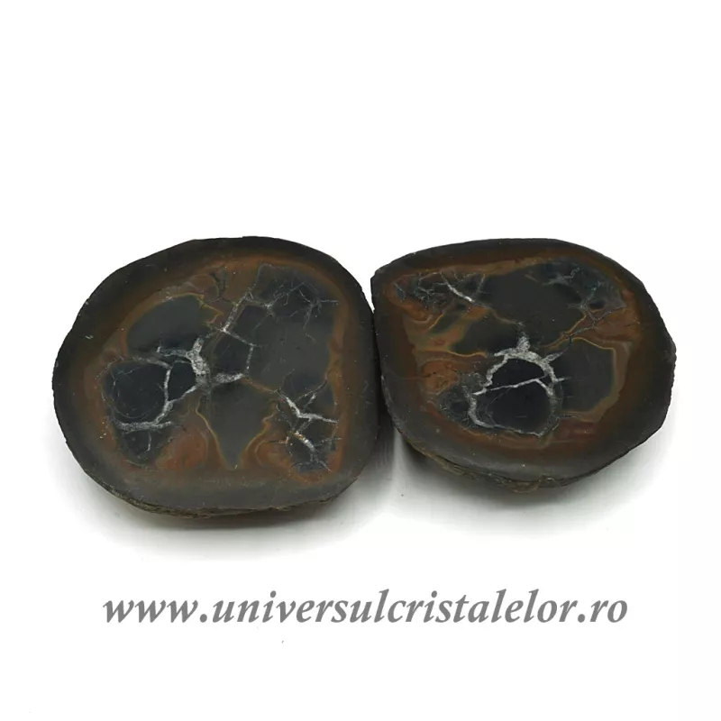 Septaria pereche Septaria pereche