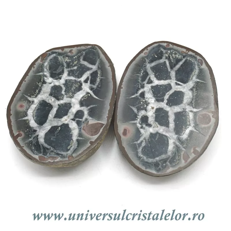 Septaria pereche Septaria pereche