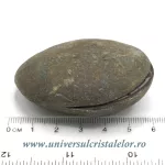 Septaria pereche Septaria pereche