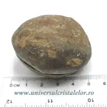 Septaria pereche Septaria pereche