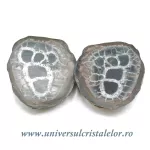 Septaria pereche Septaria pereche