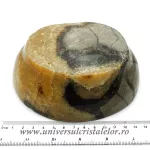 Septaria bol inima Septaria bol inima