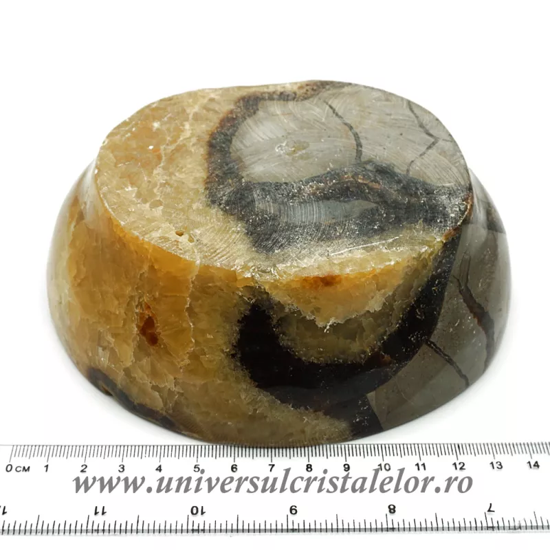 Septaria bol inima Septaria bol inima