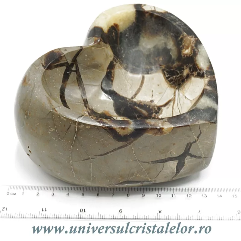 Septaria bol inima Septaria bol inima