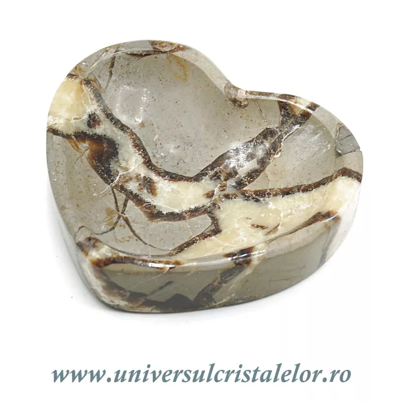 Septaria bol inima Septaria bol inima