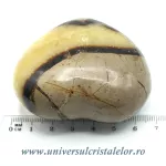 Inima septaria Inima septaria