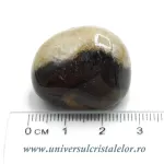 Septaria piatra rulata