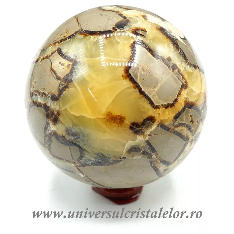 Sfera septaria Sfera septaria